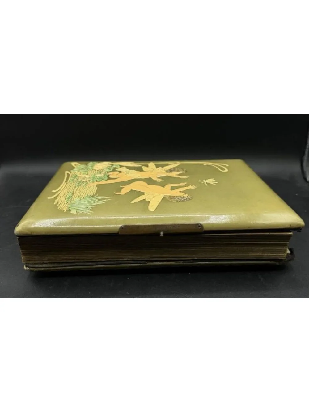 Victorian Green Celluloid Cherubs Dragonfly Photo Album Antique No Latch READ